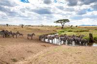 Tanzania