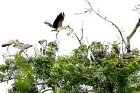 Lake Manyara